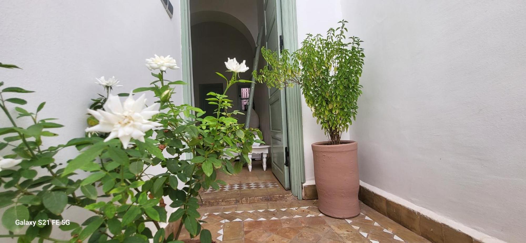 Dar La Famille Marrakech Maison d'hôtes Marrakesh