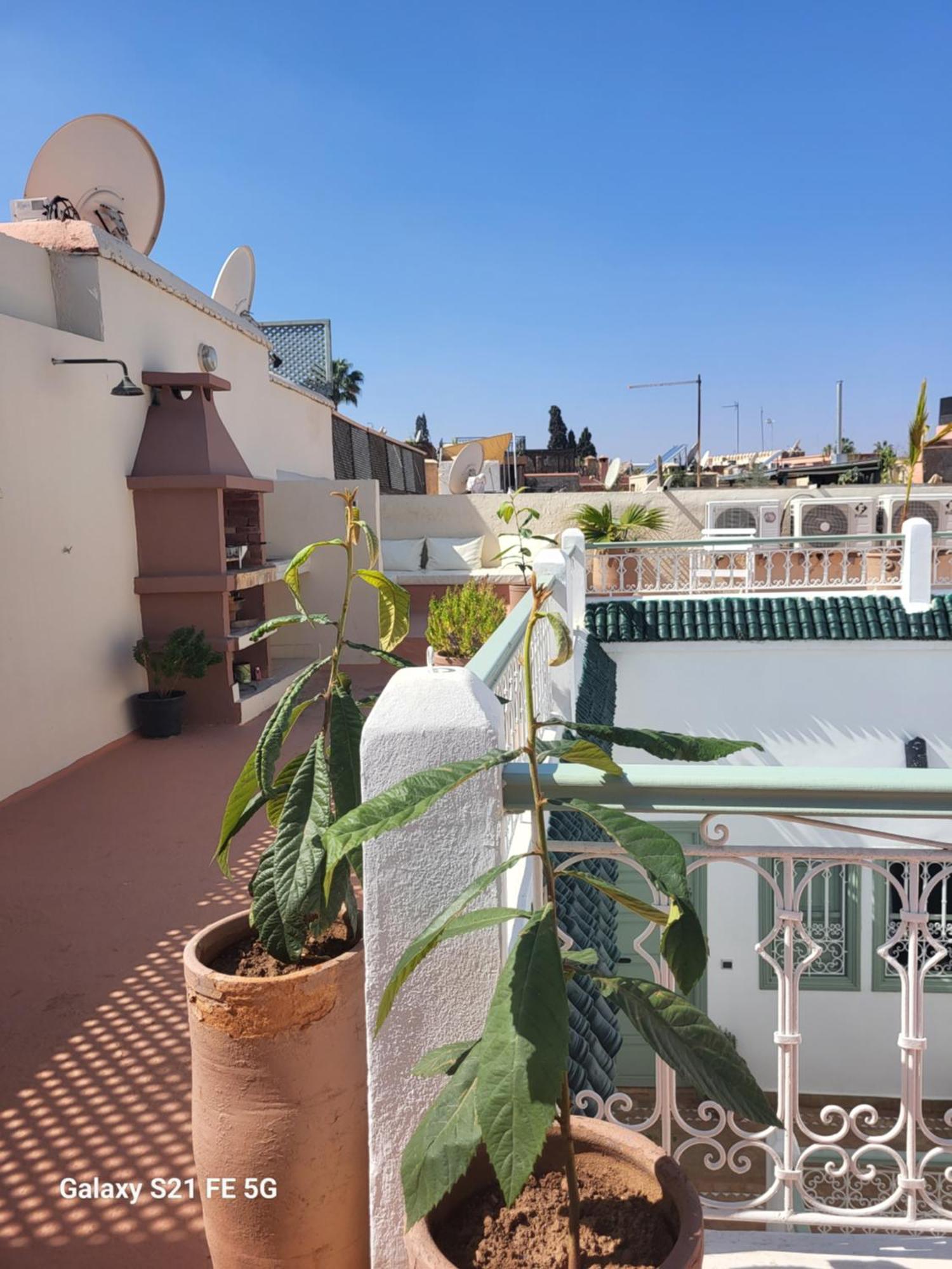 Dar La Famille Marrakech Maison d'hôtes *